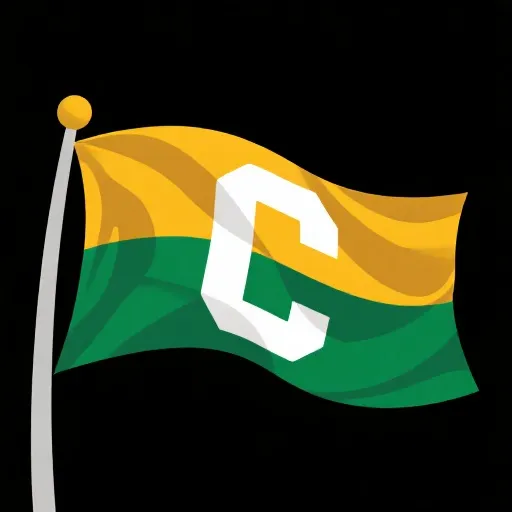 主队